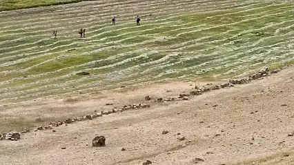Ağrı'da sıcak hava dinlemediler, ot mesaisini sürdürdüler