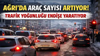 Ağrı'nın araç sayısı açıklandı: İşte son rakam