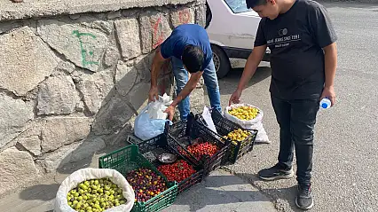 Ağrı'nın dağ meyveleri okul önlerinde tezgâha çıktı