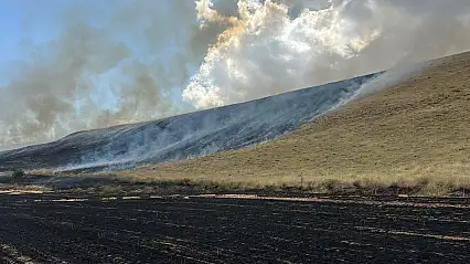 Ahlat'ta tarım arazileri alevlere teslim oldu: 400 dönüm alan zarar gördü