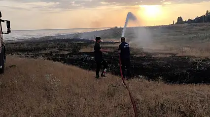 Anız ve ot yangınları Van'da alarm seviyesine ulaştı