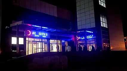 Armut toplamak için ağaca çıktı, hayatını kaybetti