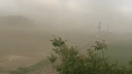 Bitlis'te dolu ve fırtına hayatı felç etti