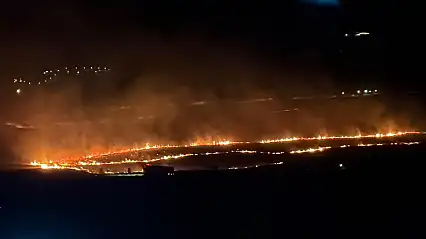 Bitlis'te korkutan yangın 300 dönümlük alan küle döndü