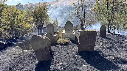 Bitlis'te mezarlıkta çıkan ot yangını büyümeden söndürüldü
