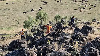 Bitlis'te otluk alan yangını: 500 dönüm arazi kül oldu