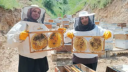 Bitlisli yenge ve görümce arıcılıkta başarı hikâyesi yazıyor