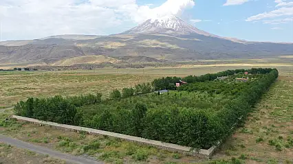 Çorak araziyi cennete çevirdi! Ağrı Dağı eteklerinde görenler hayran kalıyor
