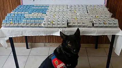 Diyadin'de tırdan 500 paket kaçak sigara çıktı