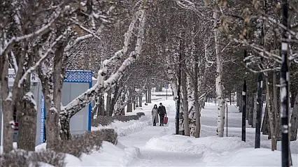 Doğu Anadolu'da beyaz esaret: Kaç köy yolu kapandı?