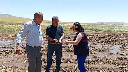 Doğubayazıt'ta çiftçilere meyve çekirdeğiyle ağaçlandırma çağrısı