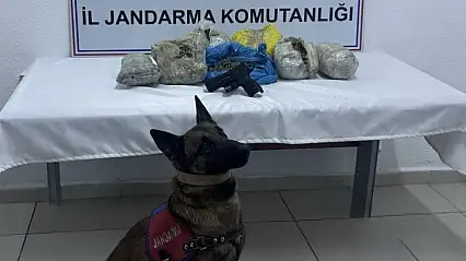 Doğubayazıt'ta jandarmadan narkotik darbesi