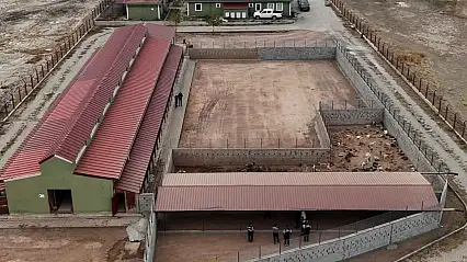 Doğubayazıt'ta sokak hayvanları için yaşam alanı genişletildi