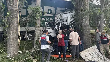Erzurum'da kontrolden çıkan tır ağaçlara çarptı: Sürücü yaşamını yitirdi