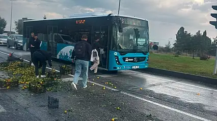 Erzurum'da yola dökülen mandalinaları vatandaşlar topladı