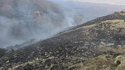 İspir'deki orman yangını teknoloji ve vatandaş dayanışmasıyla söndürüldü