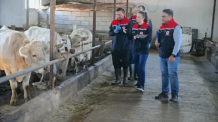 Kars'ta şap hastalığına karşı 100 kişilik ekip sahada