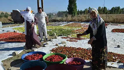 Muş'ta güneşte kurutulan sebzeler Avrupa sofralarına ulaşıyor