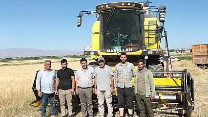 Patnos'ta arpa ve buğday hasadı başladı