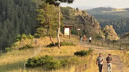 Sarıkamış'ın çam ormanları arasındaki saklı güzelliği: Keklik Deresi