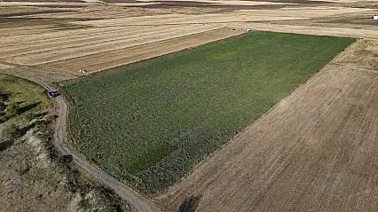 SATIŞI YAPILACAK TAŞINMAZLAR