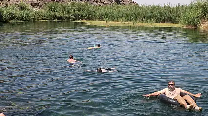 Sıcaklardan kaçanlar Ağrı Dağı eteklerinde serinledi