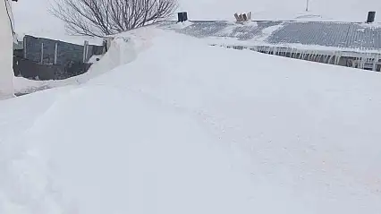 Taşlıçay'da evler kar yığınlarının arasında kaldı