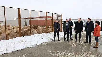 Vali Bozkurt hayvan bakımevinde inceleme yaptı