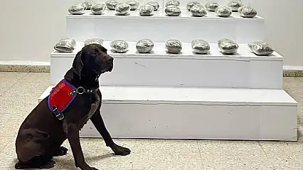 Van'da jandarmadan uyuşturucu operasyonu: 10 kilo esrar ele geçirildi!