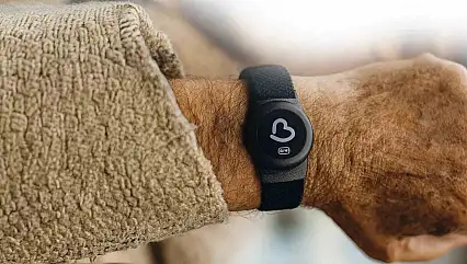 Demansla yaşayan her beynin ayrı bir hikâyesi var