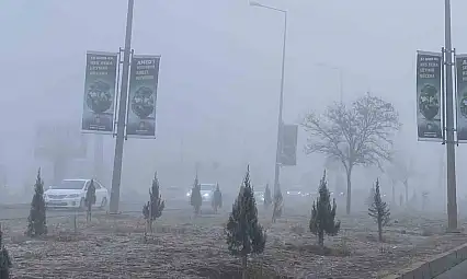 Diyarbakır'da yoğun sis ulaşımı olumsuz etkiledi