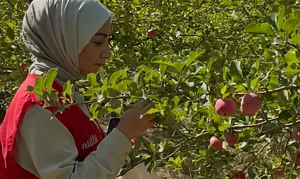 5 bin ağaçlık bahçede bu kez iyilik hasadı yapıldı