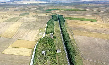 57 yıldır korunan yeşil miras: Kars Ovası'nın ortasında bir vaha