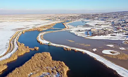 Ağrı Dağı eteklerinde nesli tehlikede olan kuşlar kışa direniyor