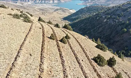 Ağrı'nın da yer aldığı bölgede 9 milyon fidan ve tohum toprakla buluştu
