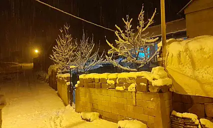 Ahlat'ta Kar Yağışı Köyleri Beyaza Bürüdü, Cemalettin'de Kar Kalınlığı 20 Santimetreyi Buldu