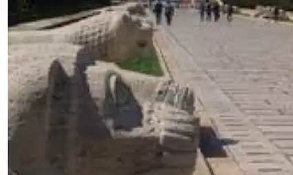 Aslanlı Yolda Neden 24 Aslan Var, Anlamı Nedir?