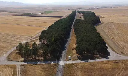 Bozkırın Ortasındaki Yeşil İnci: Benliahmet Tren İstasyonu'nun Sonbahar Şöleni