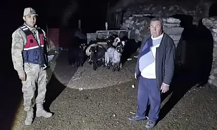 Diyadin'de kaybolan 10 küçükbaş hayvanı jandarma drone ile buldu