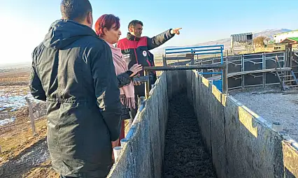 Düve Üretim Merkezi Yerinde İncelendi: İlk Etapta 1.985 Düve Merkeze Ulaştı