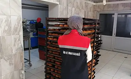 Erzurum'da gıda satışı yapanlara sıkı kontrol