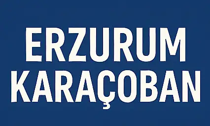 Karaçoban Nüfusu – Erzurum Güneydoğu Kapısında Mahalle Temelli Demografik Dağılım
