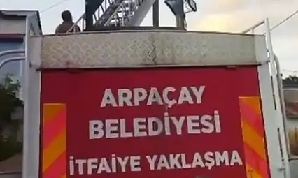 Kars'ta Yuvadan Düşen Yavru Leylek Tekrar Yuvaya Kavuştu