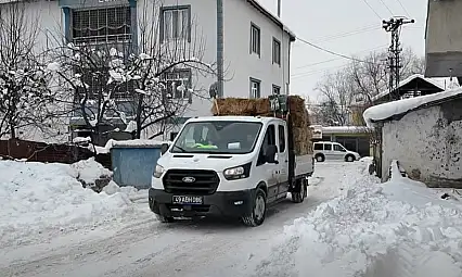 Muş Belediyesi'nden Sahipsiz Hayvanlar İçin Anlamlı Destek