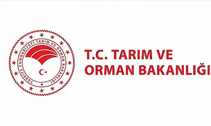 Sayıştay Başkanlığı'na yeni bilişim personeli alımı