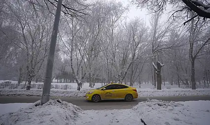 Sis ve soğuk doğu illerini etkisi altına aldı