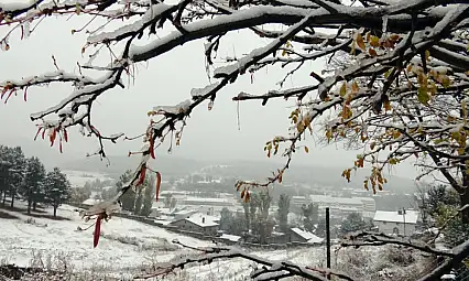 Sonbahardan kışa geçiş: Doğu illerinde kar etkili oldu