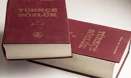 Tedavüle giriyor (çıkıyor) ne demek?