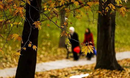Ülke genelinde bu hafta sıcaklıklar artıyor mu? Ağrı'da hava nasıl olacak?