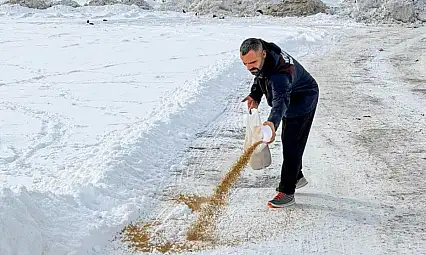 Van Büyükşehir Belediyesi'nden Yaban Hayatına Kış Desteği